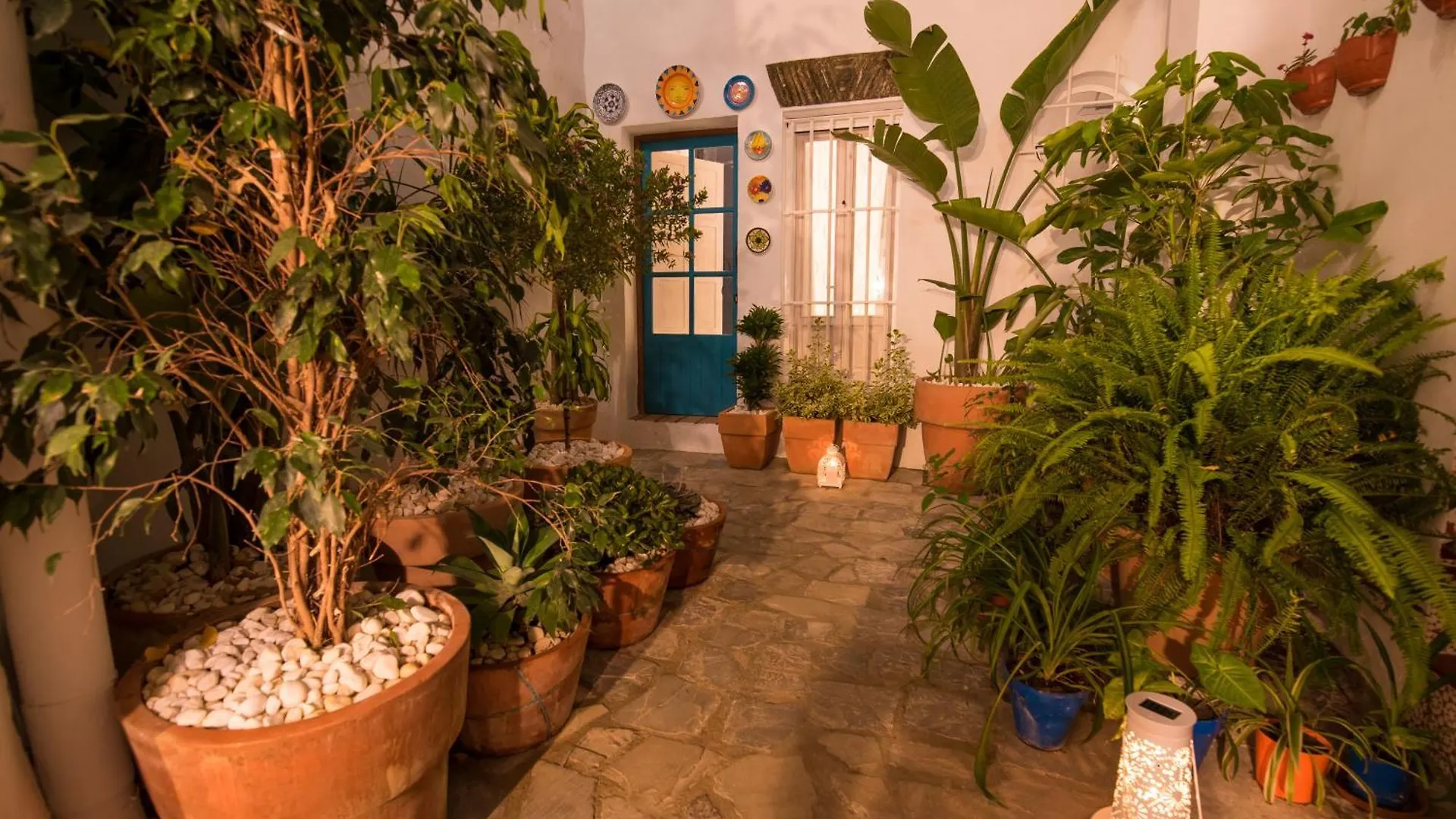 Casas Trafalgar Vejer de la Frontera